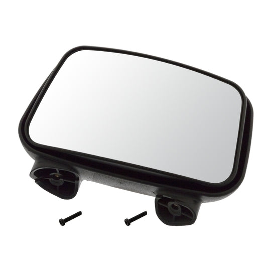 100038 Outside Mirror, driver cab