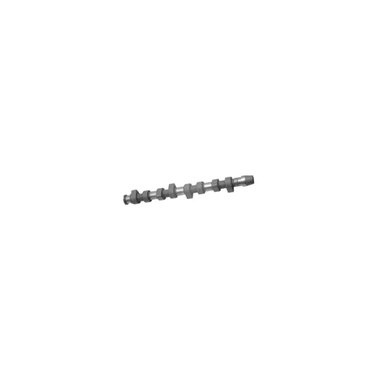 10006 Camshaft