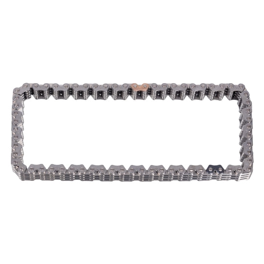 100073 Chain, oil pump drive