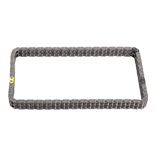 100389 Timing Chain