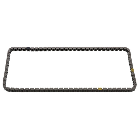 100629 Timing Chain