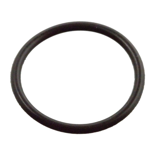 103836 Seal Ring, nozzle holder