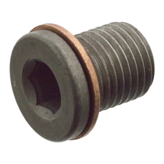 104309 Sealing Plug, oil sump