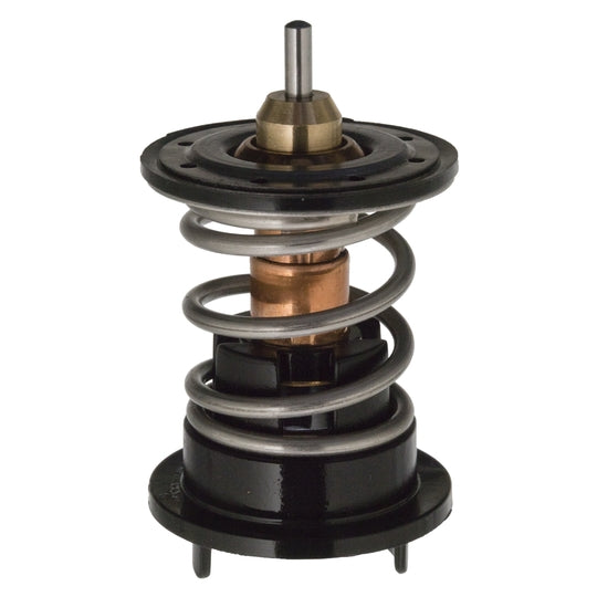 106284 Thermostat, coolant