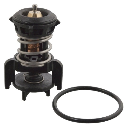 106524 Thermostat, coolant
