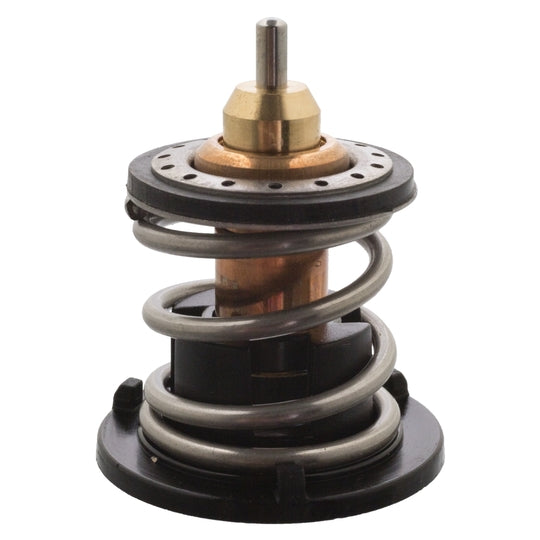 109338 Thermostat, coolant