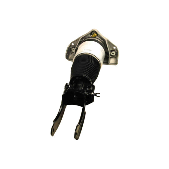 11-0787 Air Spring Strut