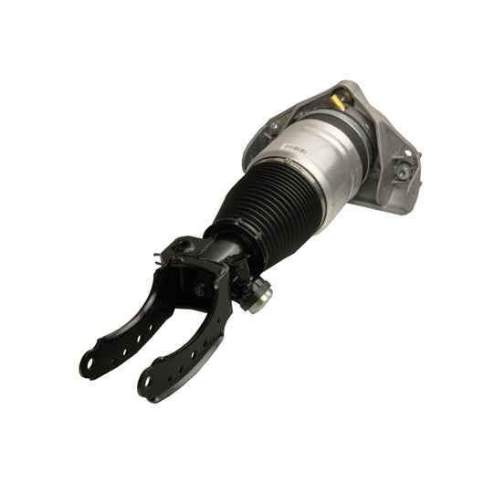 11-0788 Air Spring Strut