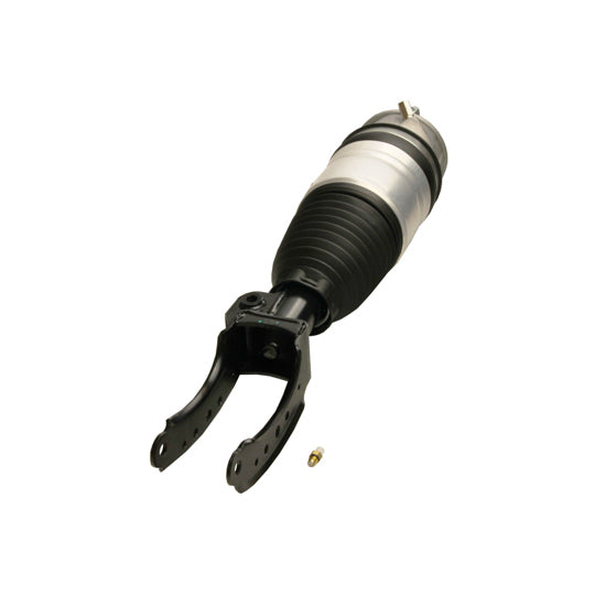 11-0793 Air Spring Strut
