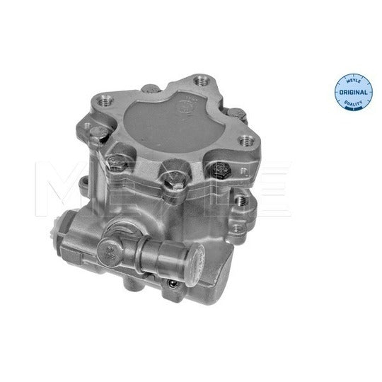 114 631 0019 Hydraulic Pump, steering system