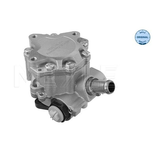 114 631 0024 Hydraulic Pump, steering system