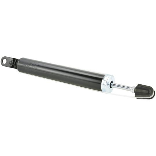 12650915R Shock Absorber