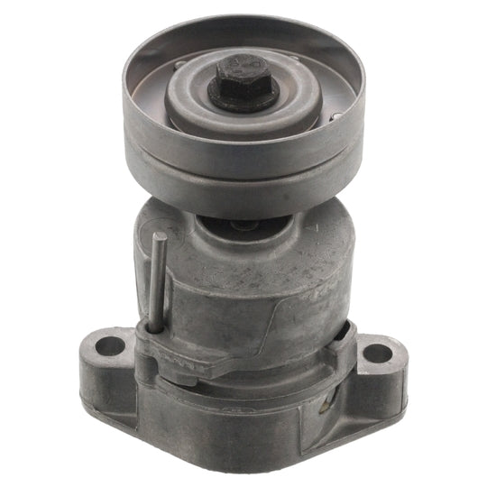 14546 Belt Tensioner, v-ribbed belt