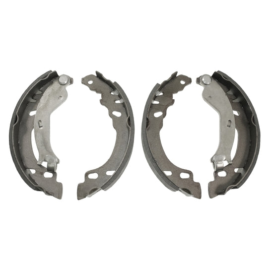 171069 Brake Shoe Set