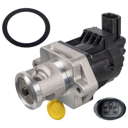 171248 EGR Valve