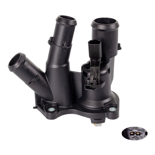 171306 Thermostat, coolant