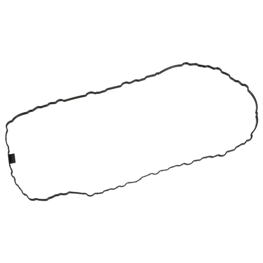 171959 Gasket, oil sump