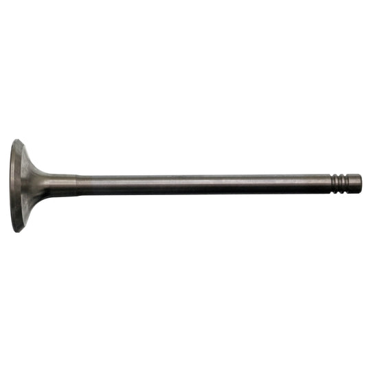 17389 Outlet valve