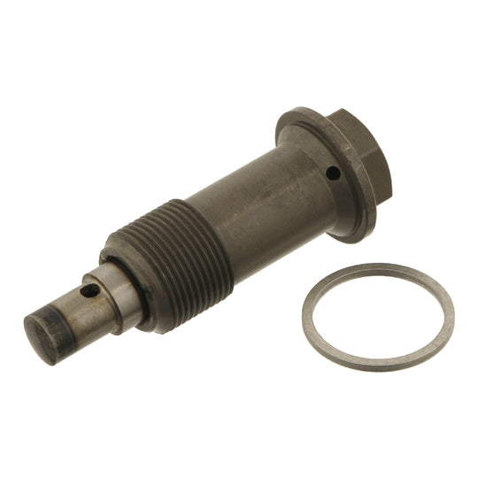 17773 Tensioner, timing chain