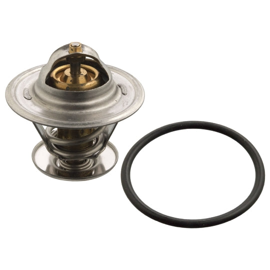 17976 Thermostat, coolant