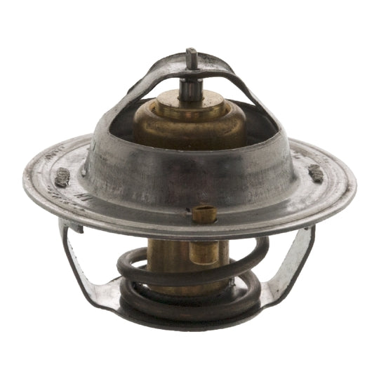 18971 Thermostat, coolant