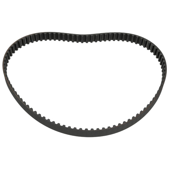 18976 Timing Belt