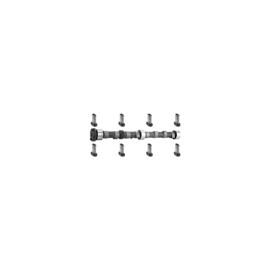 19678 Camshaft Kit