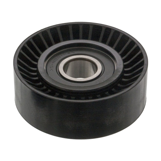 19871 Deflection/Guide Pulley, v-ribbed belt