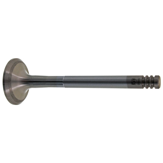 19960 Outlet valve