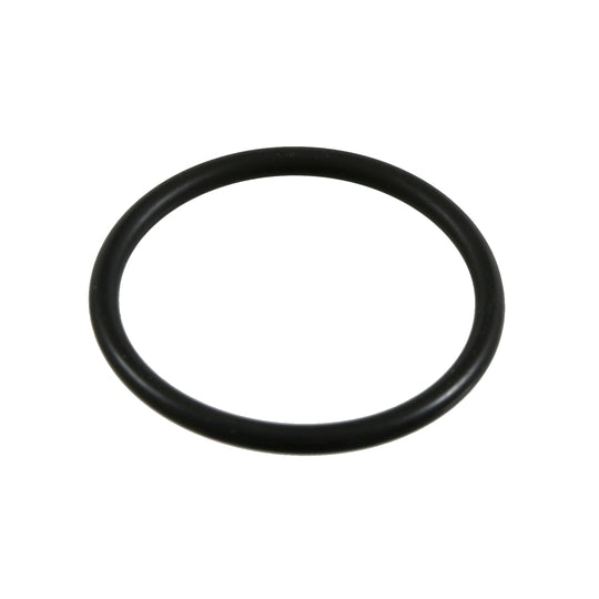 21065 Seal Ring