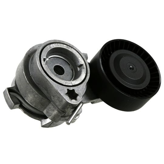 21630 Belt Tensioner, v-ribbed belt