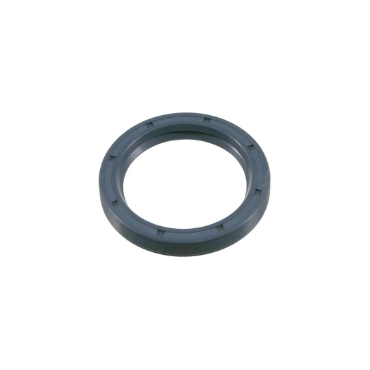 21796 Seal, brake camshaft