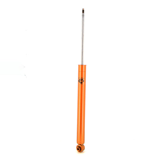 243037 Shock Absorber