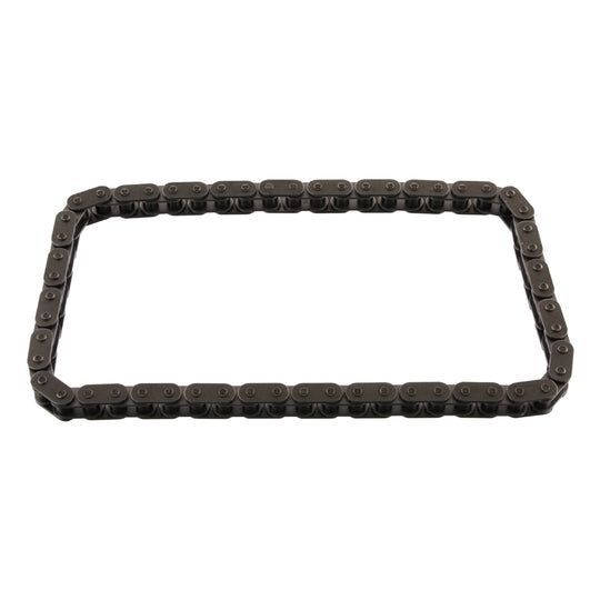 25118 Timing Chain