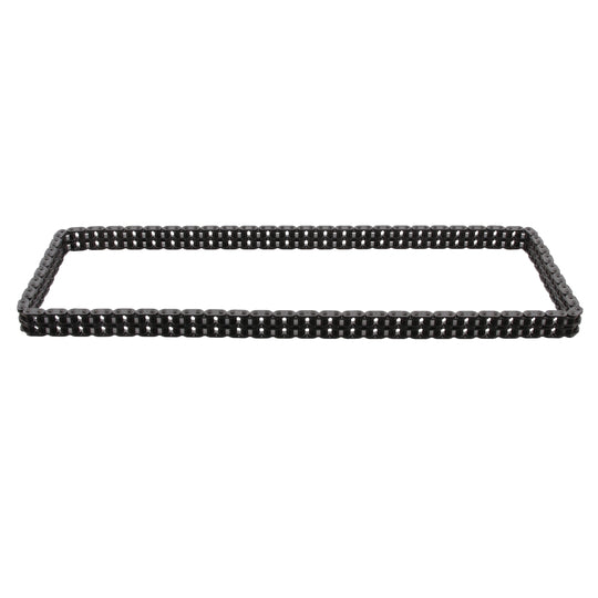 25431 Timing Chain