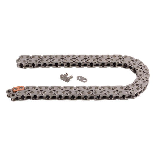 25444 Timing Chain