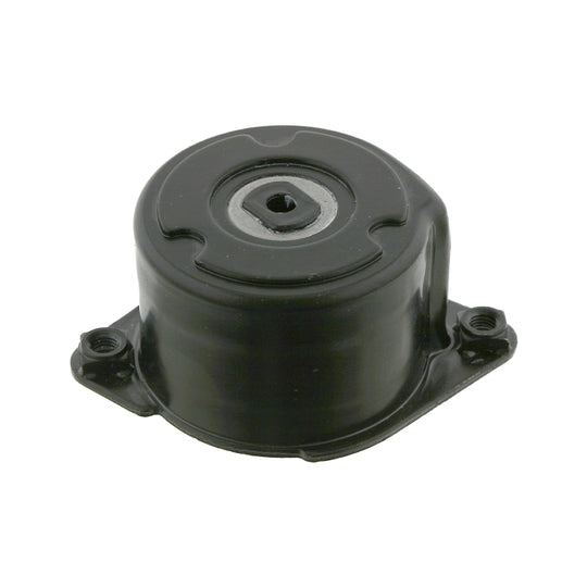 27373 Belt Tensioner, v-ribbed belt