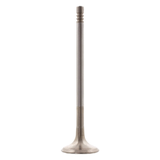 28633 Outlet valve
