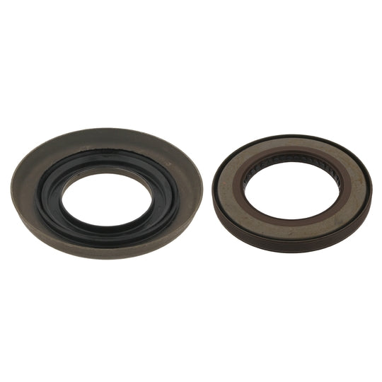 29784 Gasket Set, differential