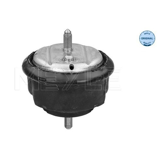 300 221 1101 Engine Mounting
