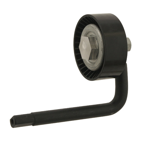 30116 Tensioner Pulley, v-ribbed belt