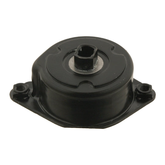 30117 Belt Tensioner, v-ribbed belt