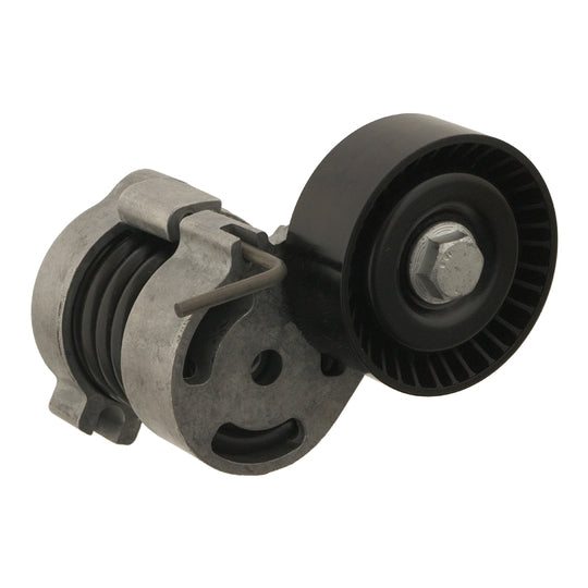 30121 Belt Tensioner, v-ribbed belt