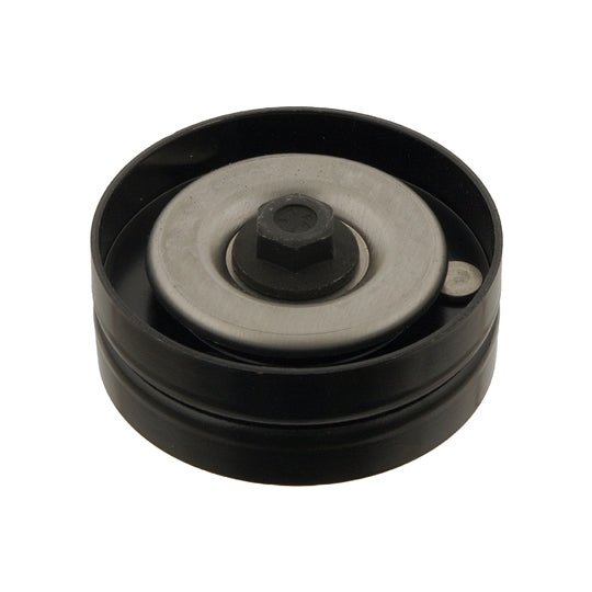 30130 Tensioner Pulley, v-ribbed belt