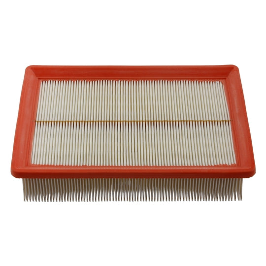 30360 Air filter