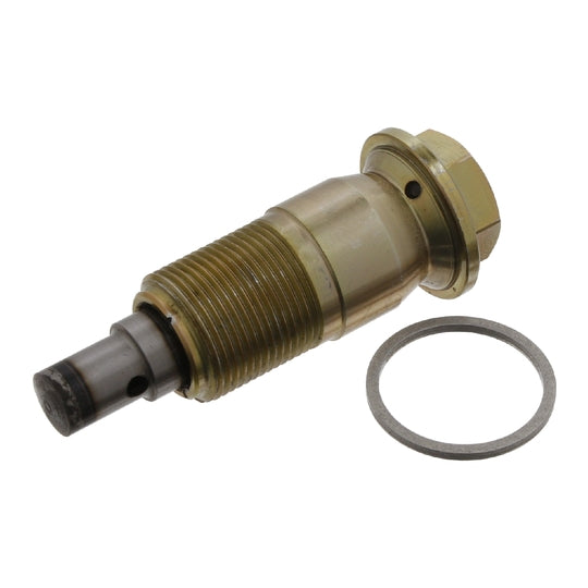 30496 Tensioner, timing chain