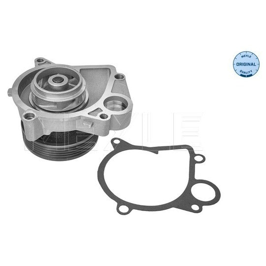 313 011 1200 Water pump