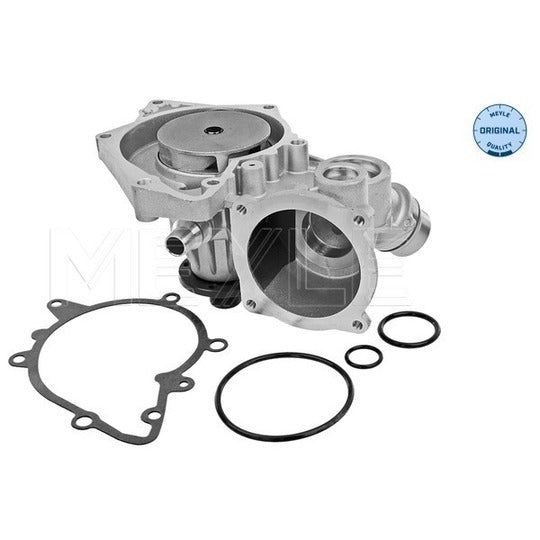 313 011 4300 Water pump