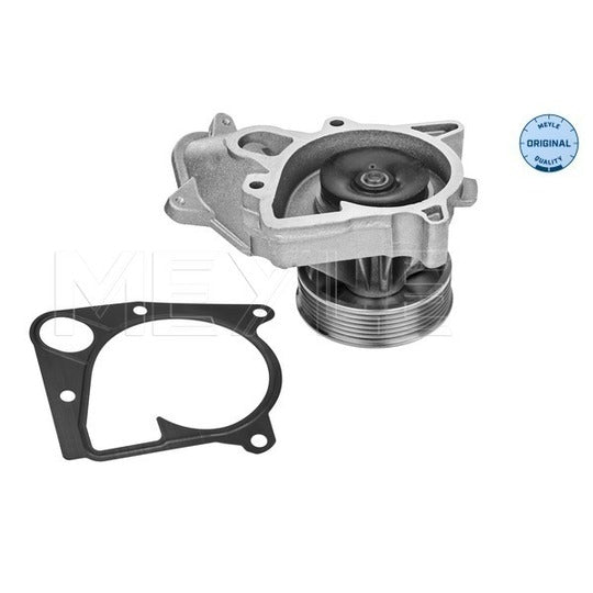 313 220 0001 Water pump