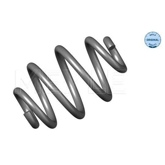 314 739 0002 Coil Spring